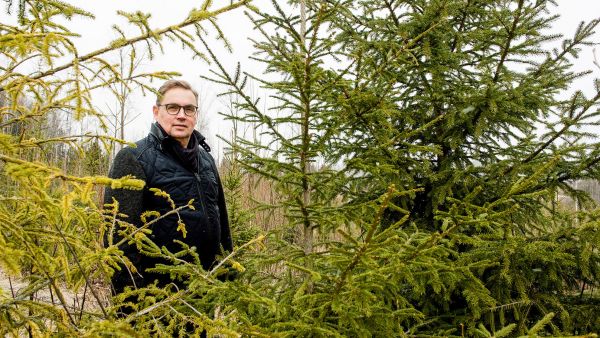 Otson toimitusjohtajana maaliskuussa aloittanut Jyrki Pihlava on myös yhtiön osaomistaja Helmet Capitalin verkostoon kuuluvien pääomasijoittajien lisäksi.     