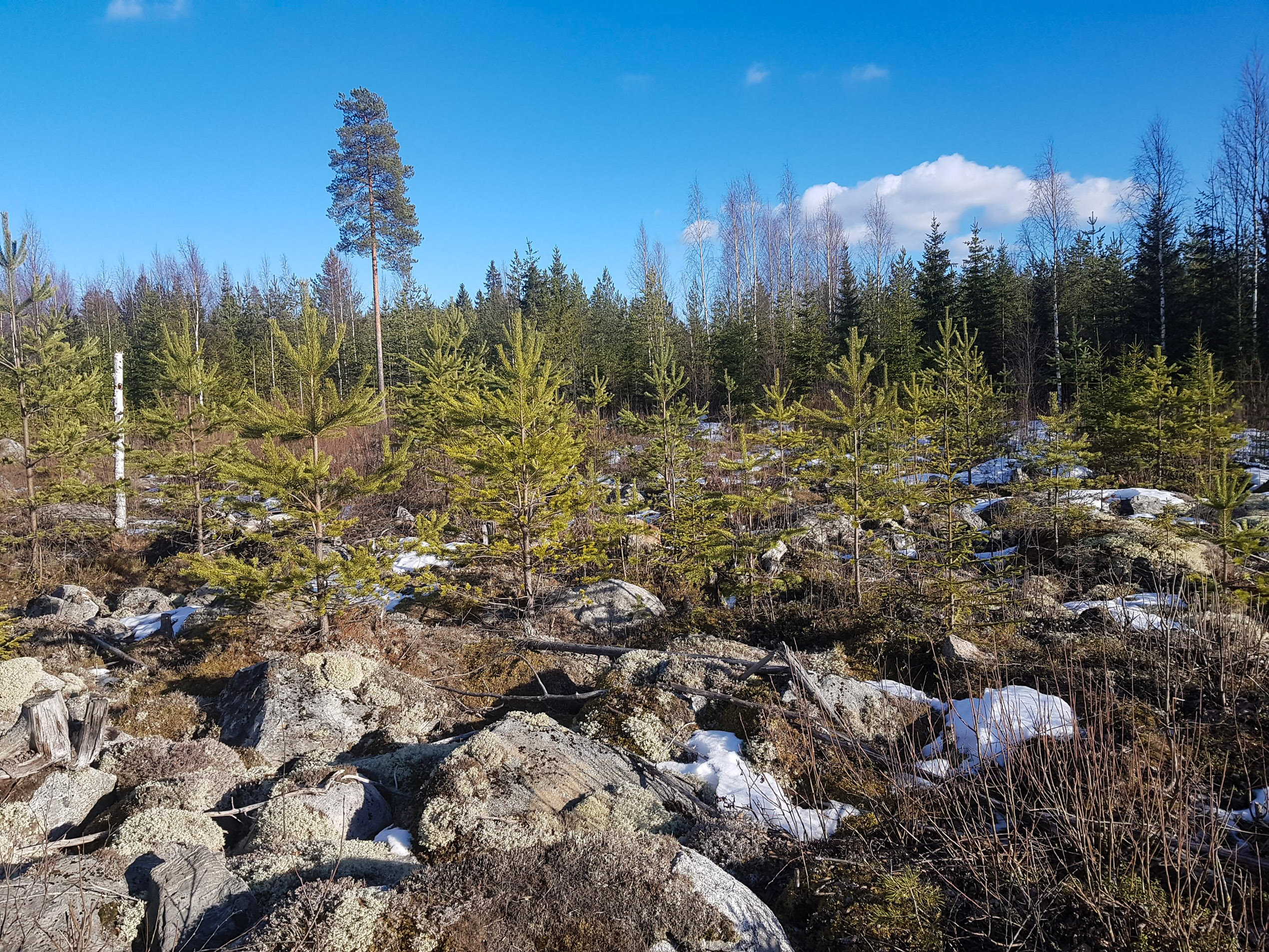 8 kysymystä kivisten maiden uudistamisesta