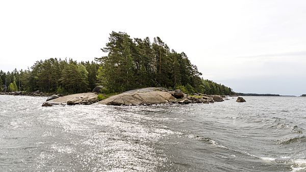 Verottajan tulkinta saaressa sijaitsevasta metsästä voi tuottaa yllätyksen. (Kuvaaja: Seppo Samuli)