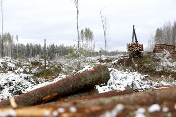 Kelirikko- ja kesäleimikoilla on nyt kova kysyntä, mutta talvikohteiden menekkinäkymät ovat sumeat. Metsä-Multia Oy:n Niko Saari korjasi kelirikkokohdetta Kannonkoskella viime viikon takatalvessa. (Kuvaaja: Sami Karppinen)