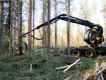 Kesä- ja kelirikkoharvennuksilla on kysyntää. Metsä Aalto Oy:n kuljettaja Henri Siurua korjasi viime viikolla kakkosharvennusta Pohjois-Iin Kivimaalla. (Kuvaaja: Mikko Häyrynen)