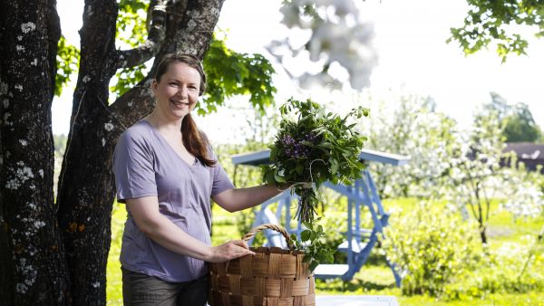 Johanna Teräväinen kokosi saunakimpun ainekset omasta metsästä ja pihamaalta. (Kuvaaja: Petteri Kivimäki)