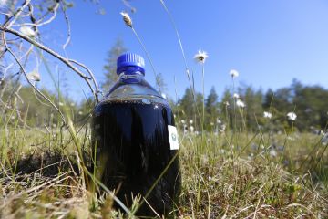 Tämä ruskealta suovedeltä näyttävä liemi on käynyt läpi pitkällisen jalostusprosessin. (Kuvaaja: Sami Karppinen)