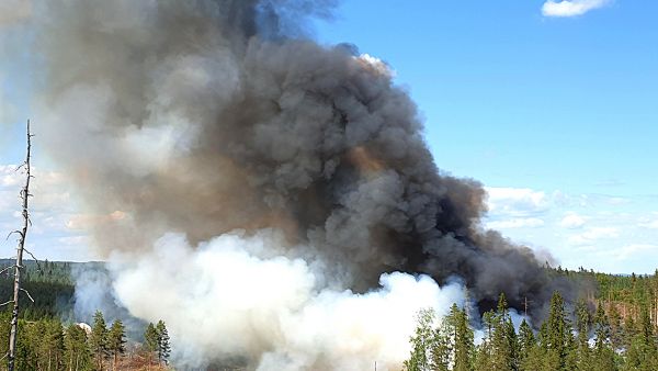 Hinskalan yhteismetsän keväällä tehty luonnonhoidollinen kulutus levisi naapurikuviolle. Onneksi oli vakuutus. (Kuvaaja: Juha Pohjonen)