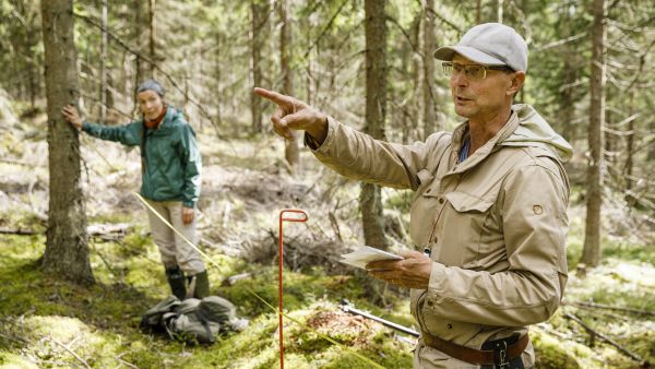 Outi Jokiranta ja Jouni Peräsaari etsivät maastossa ensimmäiseksi koealan keskipisteen. (Kuvaaja: Seppo Samuli)