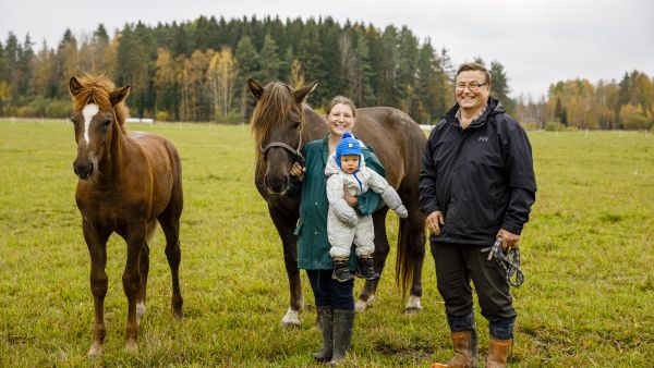 Aatos-poika sekä suomenhevostamma Juuti Milleri tovereineen pitävät Viivi Honkimaan kiireisenä. Tilan töissä auttaa nuoren emännän isä Urpo Huuskonen. (Kuvaaja: Seppo Samuli)