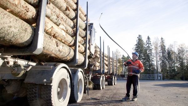 Ulvilalainen Jouni Jokitulppo toi Kumeko Forest Oyn:n toimittaman tukkikuorman Luvian sahalle Porista. Automiehillä riittää nyt kiirettä, kun tukin tarve on kasvanut. (Kuvaaja: Mikko Riikilä)