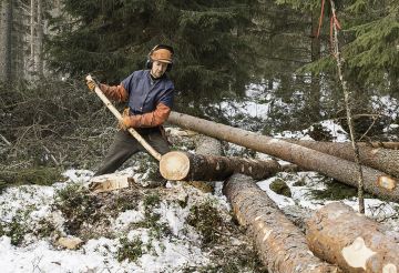 Sopivan pitkällä ja paksuisella kangella tukkien ja pylväiden vieritys ajouran varteen on kevyempää ja nopeampaa kuin nostokoukuilla, Ari Komulainen näyttää. (Kuvaaja: Ari Komulainen)