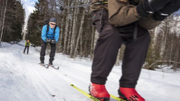 Kapealla metsäladulla leveät sommat helpottavat sauvomista, jos latupohja on pehmeä. (Kuvaaja: HARRI MÄENPÄÄ)