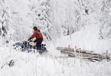 Puita jaettaessa moottorikelkalla ovat ylämäet pahimpia paikkoja joihin matkanteko voi tyssätä, jos kuormaa on liikaa. Ajajana Juho Komulainen. (Kuvaaja: Ari Komulainen)