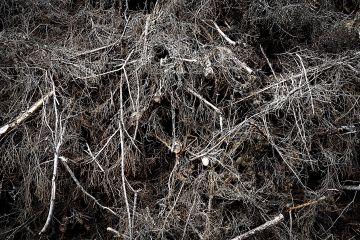 Luonnonvarakeskuksen tilastojen perusteella hakkuutähteiden keskikuutiohinta on pyörinyt pystykaupoissa pitkään 3-4 euron välillä. Energiapuun hintatilastointi on kuitenkin puutteellista, ja lisäksi tilastointia sekoittavat energiapuun kirjavat hinnoittelu- ja mittausperusteet.  (Kuvaaja: Sami Karppinen)