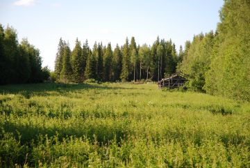 Metsitystukea myönnetään pääasiassa käytöstä poistuneiden peltojen ja turvesoiden metsittämiseen.  