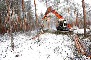 hakkuupäällä varustettu kaivinkone
