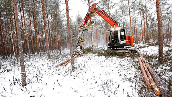 hakkuupäällä varustettu kaivinkone