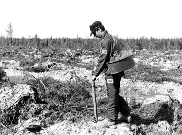 Veitsiluoto Oy:n metsätyönjohtaja Juha Mäcklin istuttaa männyntaimia yhtiön mailla Keminmaalla vuonna 1989. (Kuvaaja: METSÄTEOLLISUUS RY:N KOKOELMA, LUSTOMetsäteollisuus ry:n kokoelma, Lusto)