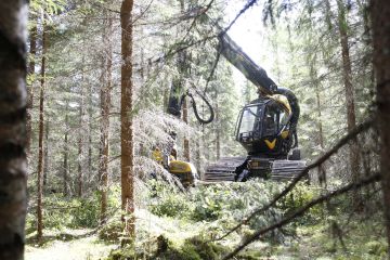 Kuitupuusta suurin osa tulee harvennuksilta , mutta noin kolmannes päätehakkuilta.(Kuvaaja: Sami Karppinen)