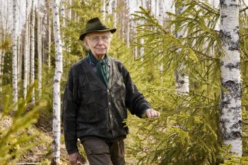 Juurikkalan vanhan kuusikon tilalle istuttama rauduskoivikko odottaa toista harvennustaan. Sen alle uudistunut luontaisesti kuusi. Puulajin vaihto parantaa maaperää ja pitää kuuset terveinä. (Kuvaaja: Seppo Samuli)