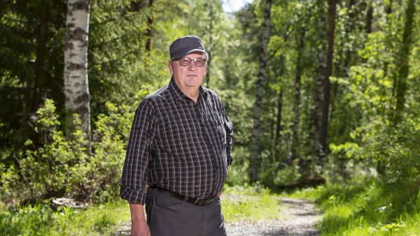 Suuresta suurpetomäärästä huolimatta hirvikanta lähtee Pohjois-Karjalassakin tietyillä alueilla herkästi kasvuun. Timosen mukaan riistahallinnon toimet osoittavat jälleen selkeästi suuntaan, jolla halutaan kasvattaa metsästäjille riistakantaa. (Kuvaaja: Harri Mäenpää)
