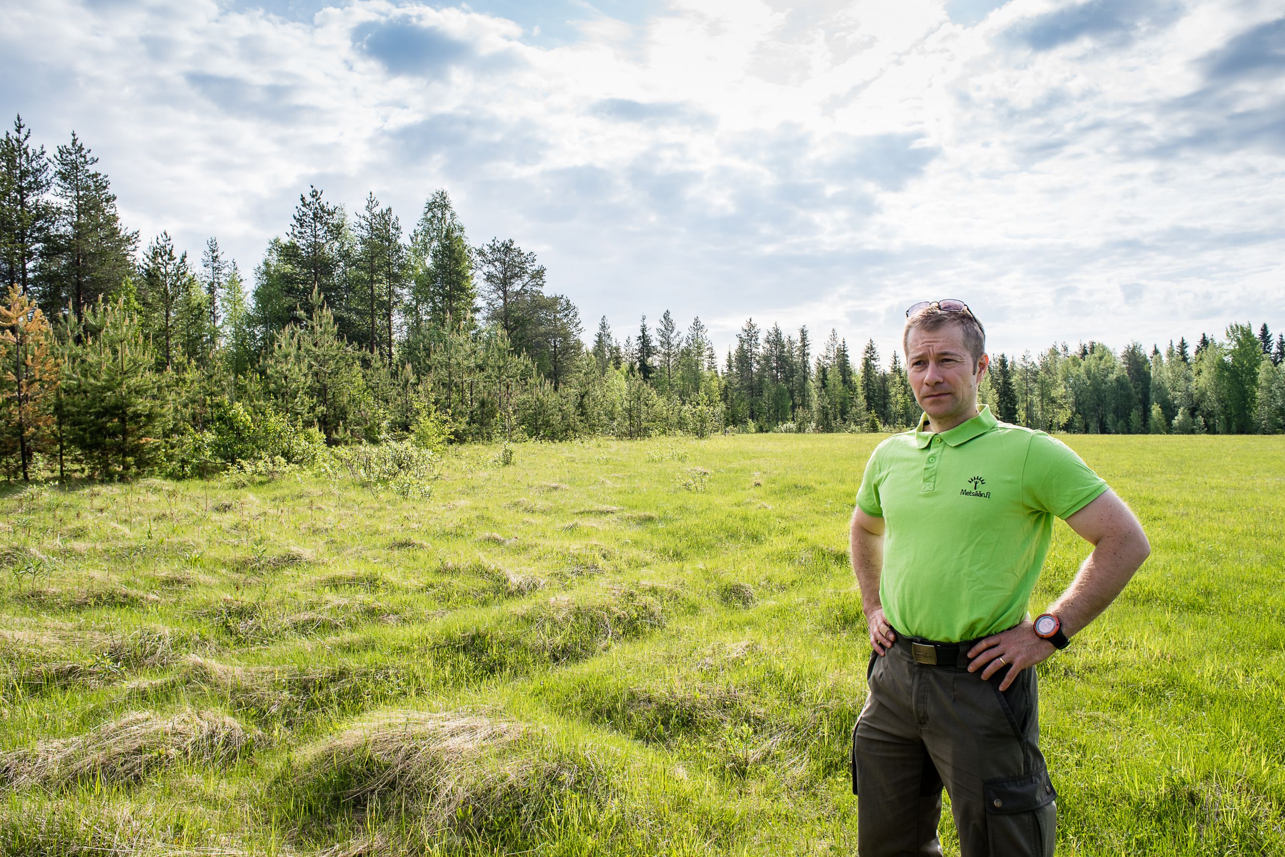 Metsitystuki tukehtuu hakemuksiin