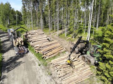 Puutavara-auto haki Kivijärvellä kesäkuun alussa puutavaraa varastolta samaan aikaan, kun ajokone sitä sinne toi. Työmaa oli Keski-Suomen metsänhoitoyhdistyksen ja puutavara kuljetettiin ER-Sahalle Viitasaarelle. (Kuvaaja: Sami Karppinen)
