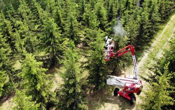 Kasvinsuojeluaineiden toimivuutta testataan kuusen siemenviljelyksen latvuksissa (Kuvaaja: Sami Karppinen)