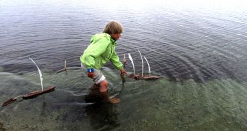 Kaarnalaivojen purjeiksi käyvät myös suurikokoiset linnunsulat. Laivaväylä on merkitty verkonkohoista tehdyillä reimareilla.  