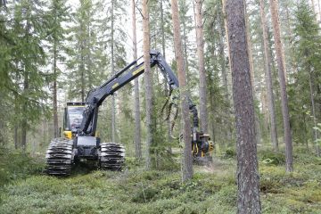 Kesäharvennusleimikko on takuuvarmaa kauppatavaraa tänäkin syksynä. Talviharvennuksen kaupittelu voi sen sijaan olla vaikeaa. (Kuvaaja: Sami Karppinen)