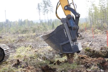 Metsäkylvökauhalla kylvetyt ja peitetyt männynsiemenet itivät tänä kesänä huomattavasti peittämättömiä paremmin. (Kuvaaja: Sami Karppinen)