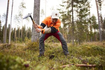 Otto Pekander ei halunnut siemenpuuasentoon hakattuun männikköön kaivinkonetta, joten hän on laikuttanut alueen itse lapiolla. (Kuvaaja: Seppo Samuli)