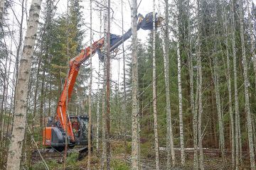 Metsäkuution joukkokäsittelykouralla varustettu kaivinkone korjasi energiapuuta Muuramessa Päijänteen Metsänhoitoyhdistyksen työmaalla viime viikolla.  (Kuvaaja: Sami Karppinen)