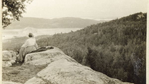 Maisema Kolilta vuodelta 1917. (Kuva: S. E. Multamäki, Suomen Metsämuseo Lusto)