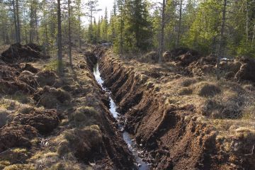 2010-luvulla uudisojia on kaivettu todellisuudessa noin 12 000 hehtaaria, joista osa on ojitettujen alueiden laajennuksia, Kari T. Korhonen arvioi. (Kuva: Hannu Huttu)