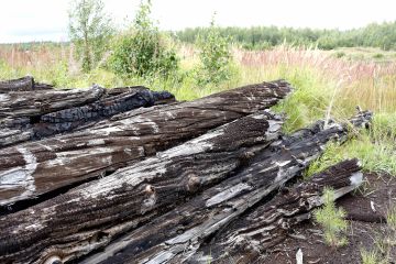 Turvesuosta nostetut pöllit on kerätty yhteen kasaan. (Kuva: Sami Karppinen)