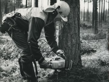 Metsuri Jorma Martikainen puunkaadossa Ruokolahdella vuonna 1977. Kypärä, kasvosuoja ja kuulosuojaimet löytyvät, samoin metsurin varustevyö. Jaloissa on todennäköisesti turvasaappaat ja viiltosuojahousut. (Kuvaaja: Kauno LaineTeollisuusviikko-lehden arkistoElkaKauno LaineTeollisuusviikko-lehden arkistoElka)