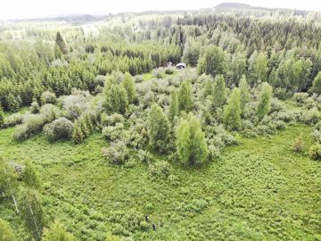 Tässä tapauksessa etualan avoin alue hyväksyttiin metsitystystuen piiriin, mutta taustan pajukkoa ja koivuja kasvava alue katsottiin luontaisesti metsittyneeksi ja rajattiin tuen ulkopuolelle. (Kuvaaja: Sami Karppinen)