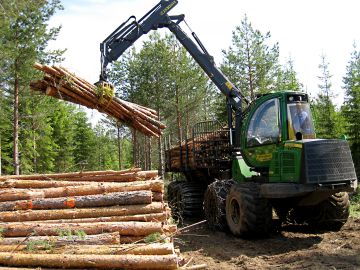 Ajokone purkaa energiapuukuormaa tienvarsivarastolla ja mittaa samalla puiden painon kuormaimeen asennetulla vaa'alla. (Kuvaaja: LukeJuha Laitila)