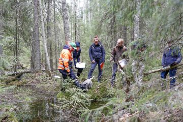Verkko- ja etäopiskelu on tullut metsäalallekin jäädäkseen, mutta opintojen maastopäivät tarjoavat yhteisöllisyyttä ja verkottumista. (Kuvaaja: Sami Karppinen)