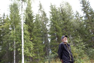 Leppävirtalaisen Auvo Alanteen lehtomaisen kankaan kuusikon kiertoaika pitenee arviolta 10-15 vuotta metsänhoitosuositusten mukaisesta uudistamisajankohdasta. Viisi vuotta sitten tehty yläharvennus toi kuitenkin metsästä jo hakkuutulojakin. (Kuvaaja: Sami Karppinen)