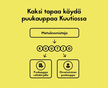 Kuutiossa metsänomistaja voi valita haluaako kilpailuttaa puukaupat omatoimisesti vai metsäammattilaisen, kuten metsänhoitoyhdistyksen avulla.