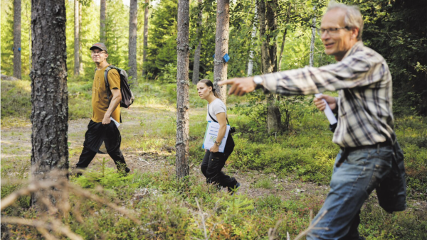 Hyrian opettaja Heikki Kiuru (edessä), tutkija Janne Heliölä ja Pölymetsä-hankkeen projektipäällikkö Sara Turunen etsivät oppilaitoksen metsistä pölyttäjille mieleisiä rakennepiirteitä. Kiuru on bongannut rusokukkajäärän. (Kuvaaja: Seppo Samuli)