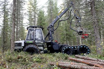 Ensiharvennusten viivyttäminen lisää metsätuhojen riskiä. (Kuva Sami Karppinen)