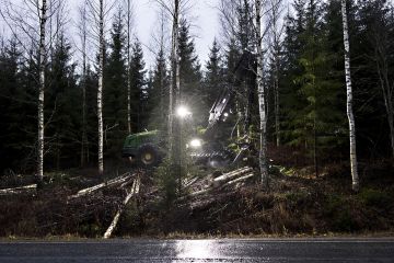 Koivukuidun markkina käy kuumana. Juha Mensonen korjaa koivua 1,8 hehtaarin energiapuukohteella Kehvossa, Siilinjärvellä. (Kuvaaja: Matias Honkamaa)