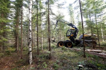 Kuusen kasvupaikoilla kannattaa yleensä pyrkiä sekapuustoisuuteen. Sekametsät kestävät erilaisia tuhonaiheuttajia paremmin kuin yhden puulajin metsät. (Kuvaaja: Sami Karppinen)