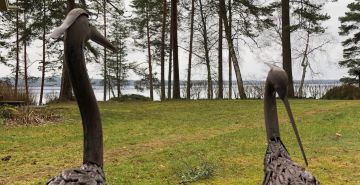 (Kuvaaja: Pentti Kurki)