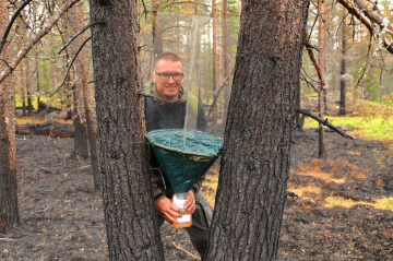 Metsähallituksen Luontopalvelujen suunnittelija Eerikki Rundgren