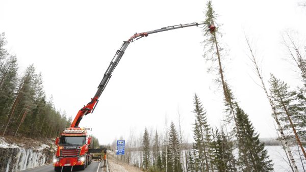 Vankalla nostoautolla isokin puu nousee ilmojen teille jopa 35 metrin päästä. Kuvaaja: Sami Karppinen