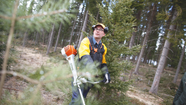 MTK:n metsävaltuuskunnan puheenjohtaja Mikko Tiirola