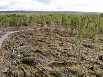 Vakuutuksista korvataan tällä hetkellä varsinkin myrskytuhoja. (Kuvaaja: Sami Karppinen)