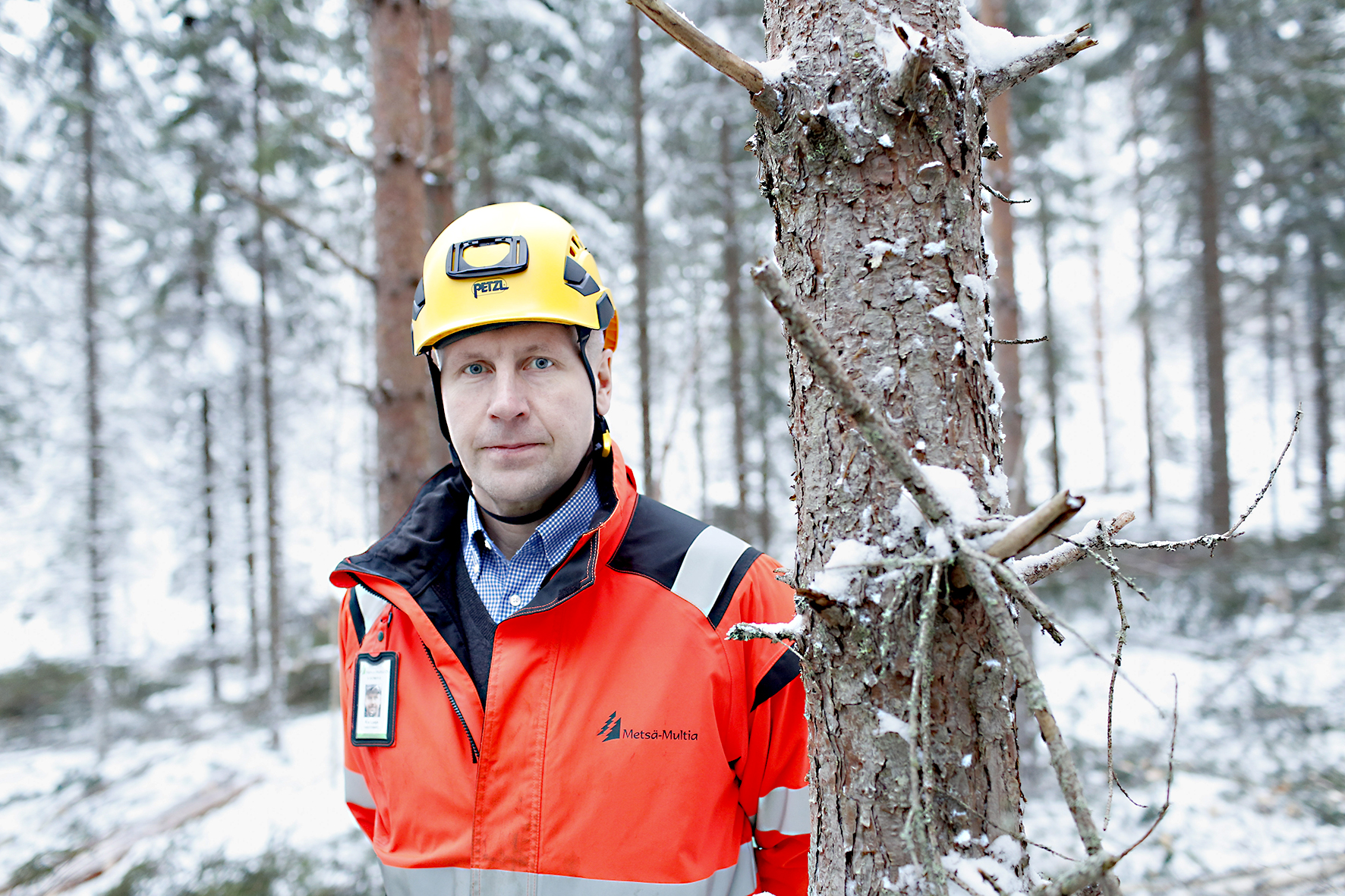 Metsätyyppi | Yllättivätkö korjuuselvityksen tulokset?