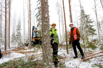 Metsänhoitoyhdistys Pohjois-Savon puunkorjuun asiantuntija Veli Pirskanen (oik.) valvoi Harvestian ensiharvennusleimikon korjuuta viime viikolla Karttulassa. Pirskanen sekä korjuuyrittäjä Hermanni Häyrinen olivat samoilla linjoilla siitä, että harvennusvoimakkuus kannattaa pitää maltillisena muun muassa lumituhojen ehkäisemiseksi. (Kuvaaja: Sami Karppinen)